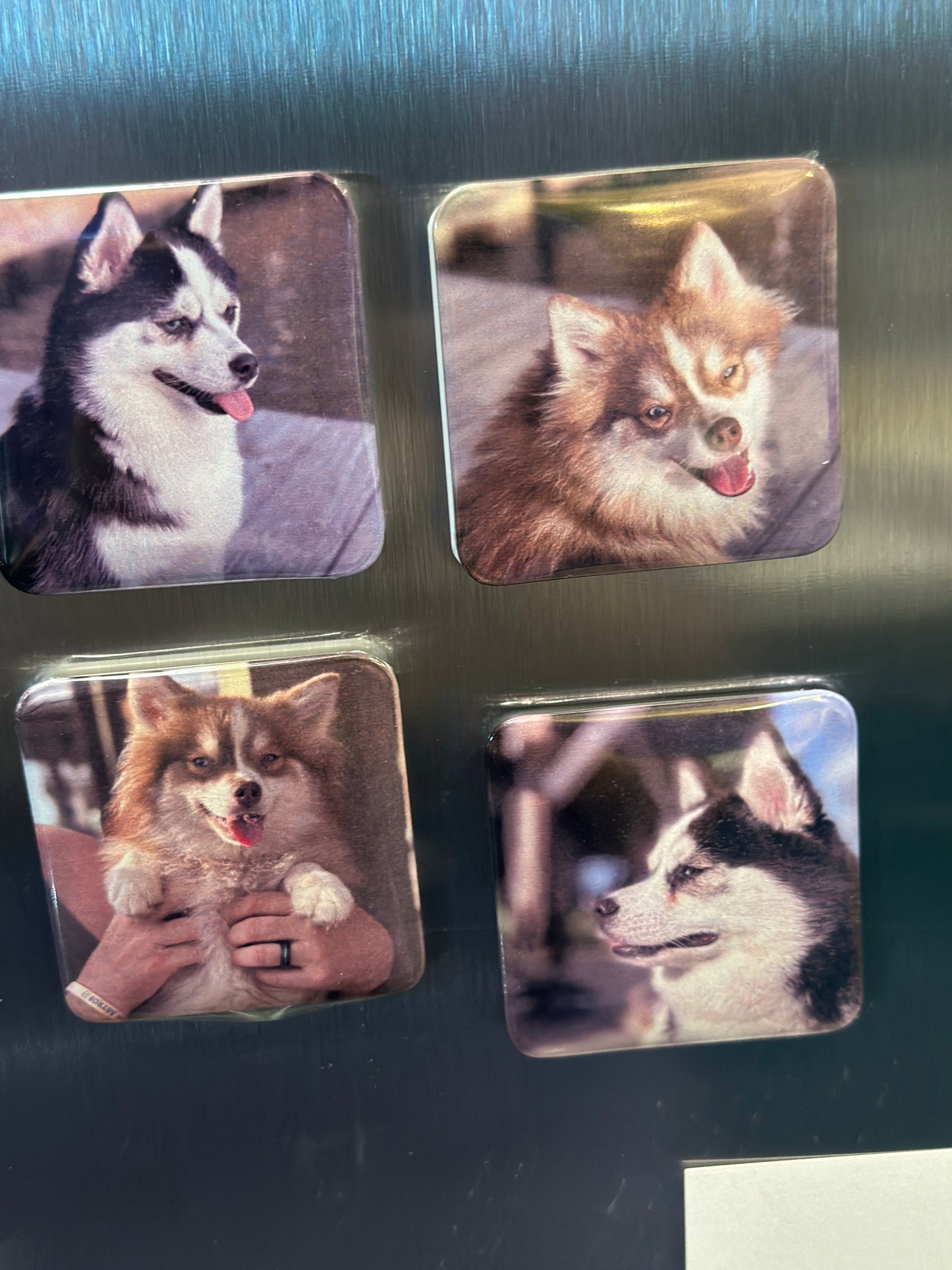 Custom 2x2 Photo Magnets