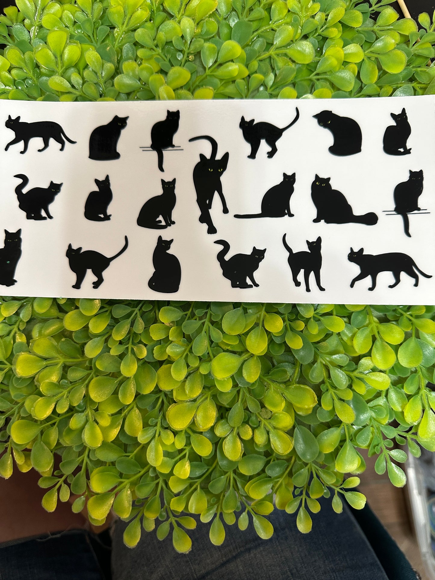 UV DTF Wraps for Sno Globe Tumblers (Cats)