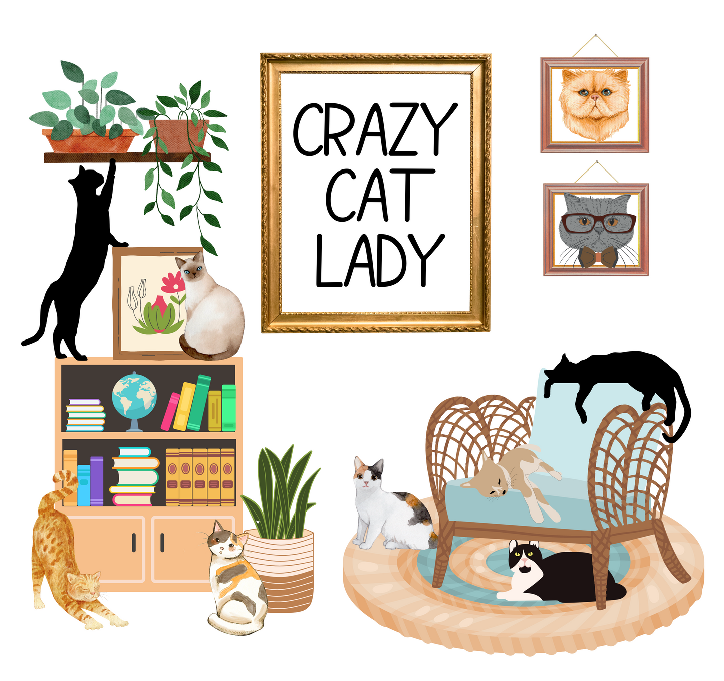 Crazy cat lady