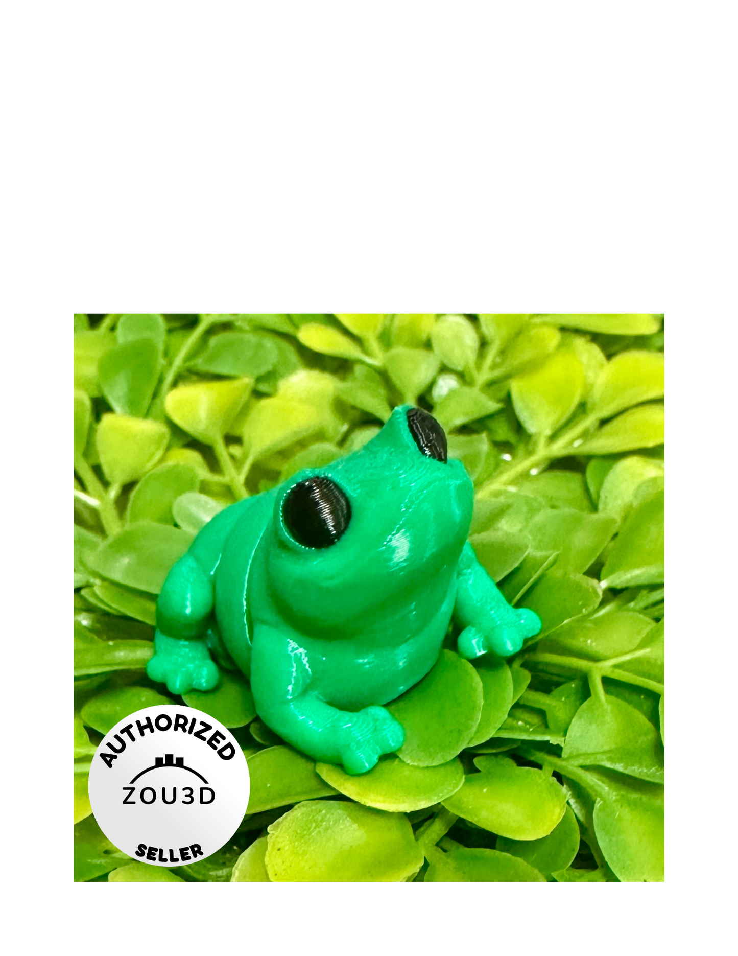 3 D Fidget Butt frog Small