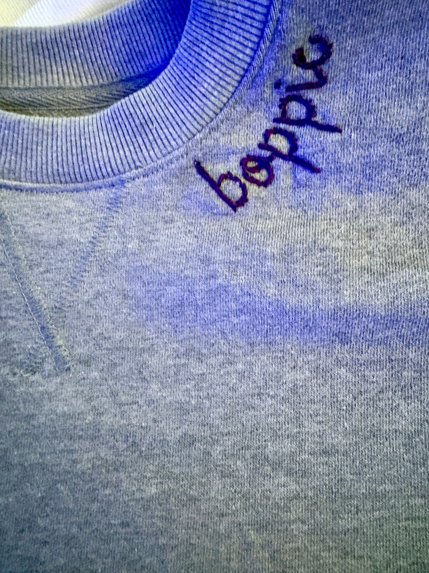 Hand Embroidered Crewneck Sweatshirt